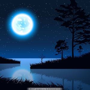 杨美娟AV播放果冻传媒
