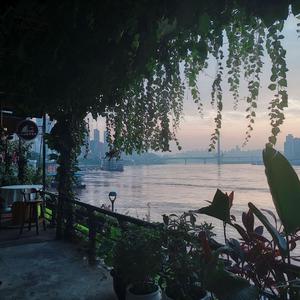 杨美娟AV播放果冻传媒
