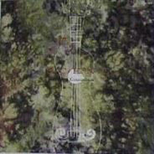 杨美娟AV播放果冻传媒
